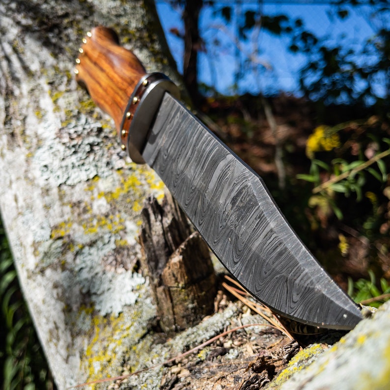 Seas Viking Inspired Outdoor Knife - Forged Damascus Steel Medieval Collectible Clip Point Hunting Knife w/ Genuine Leather Sheath