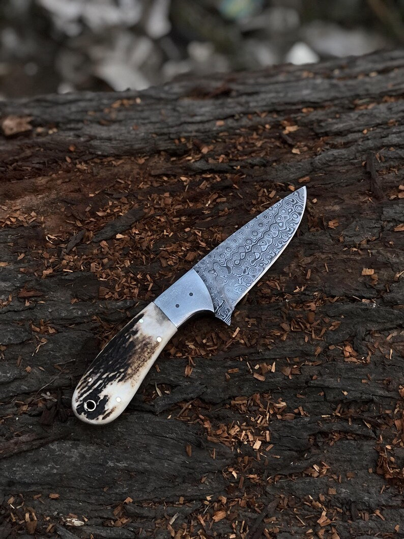 Handmade Damascus Hunting Knife With stag Handle Survival Knife