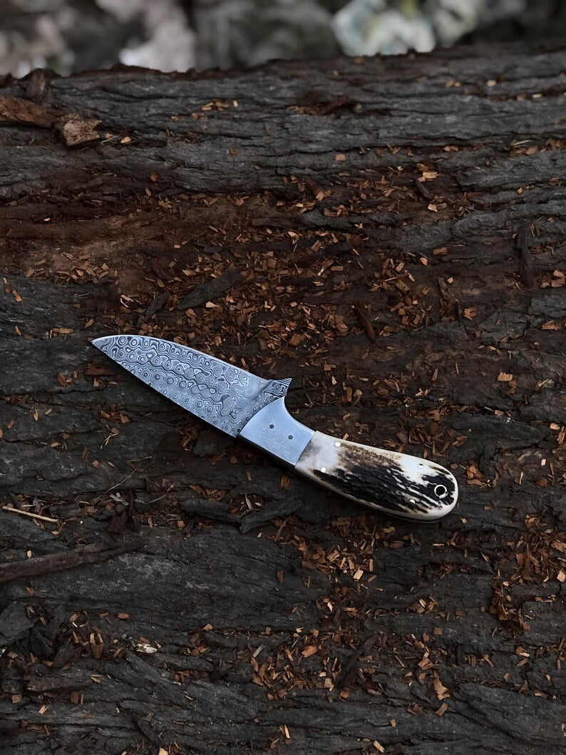 Handmade Damascus Hunting Knife With stag Handle Survival Knife