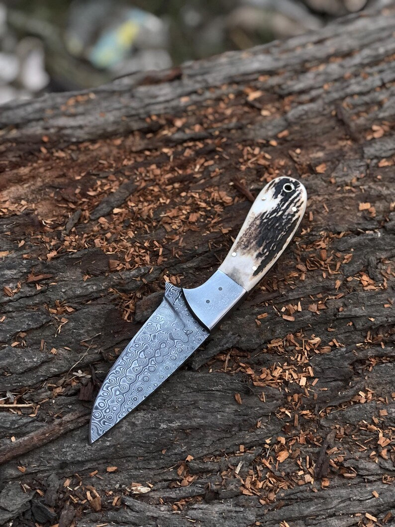 Handmade Damascus Hunting Knife With stag Handle Survival Knife