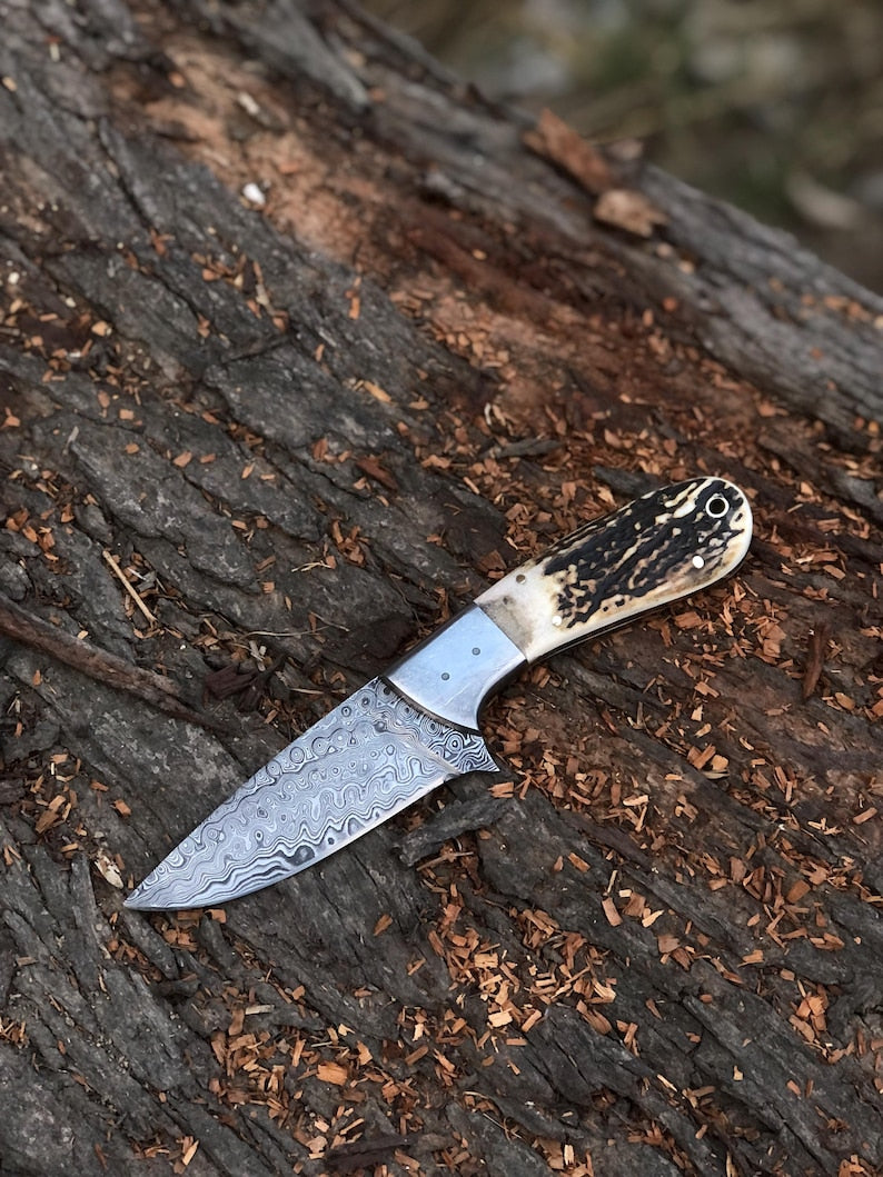 Handmade Damascus Hunting Knife With stag Handle Survival Knife