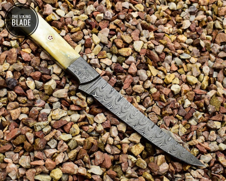 Beautiful Damascus Steel Handmade Fillet Knife, Chef Knife with Camel Bone Handle