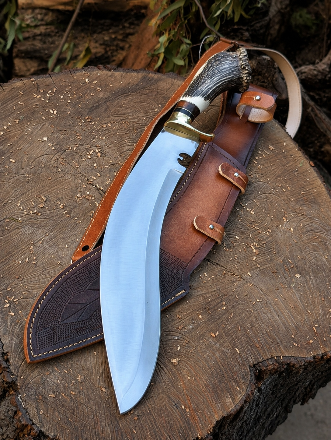 A large fixed-blade knife with a curved silver blade, dark antler-style handle, and brown leather sheath, displayed on a cut tree stump outdoors.