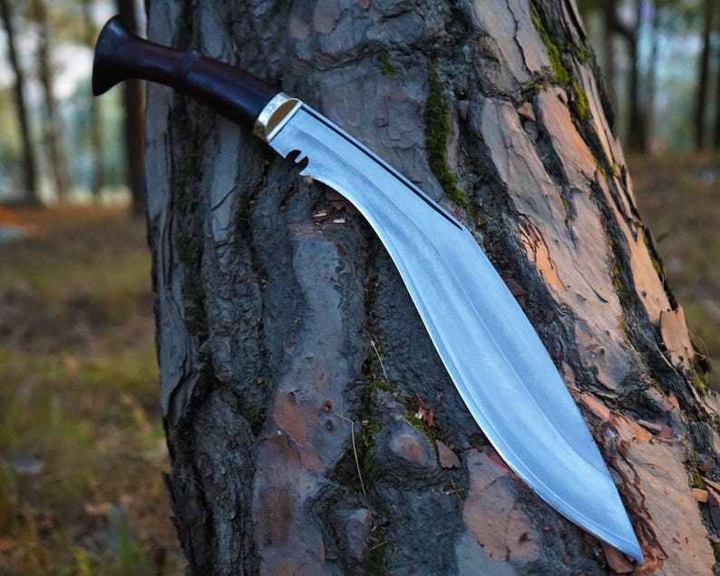 Knife with a wooden handle embedded in a tree trunk in a forest setting
