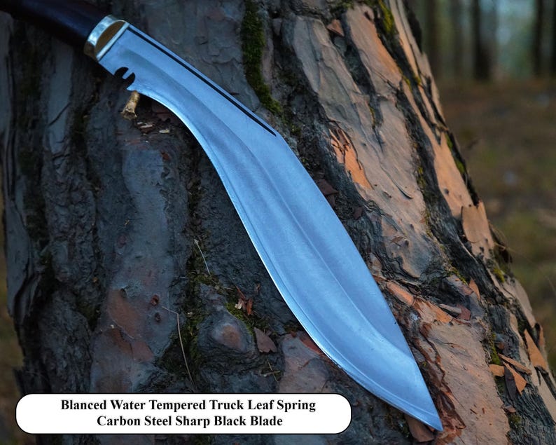Blade of a knife embedded in a tree trunk with text describing blade features.