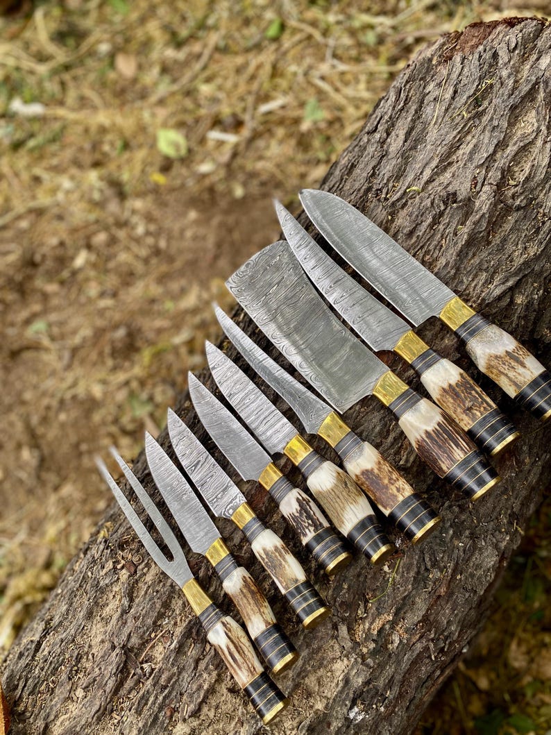 Set of knives with wooden handles on a tree stump