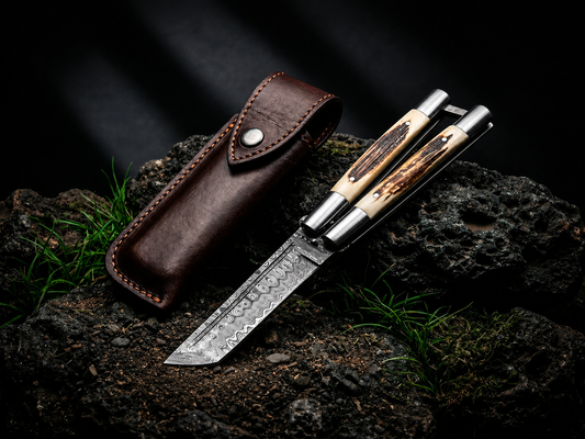 A folding pocket knife with a patterned steel blade, dual bone handles, and a silver clip, displayed next to its brown leather sheath on dark rocks with small green grass.