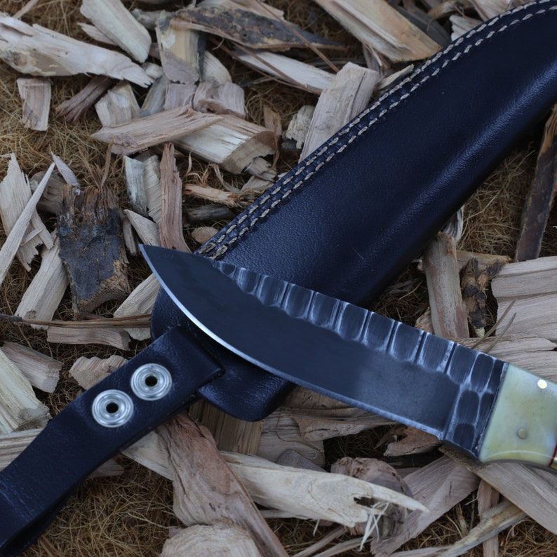 Fixed Blade Hunting Knife | Camping Hiking Full Tang J2 Steel Drop Point Blade w/ Buffalo Horn Camel Bone Handle