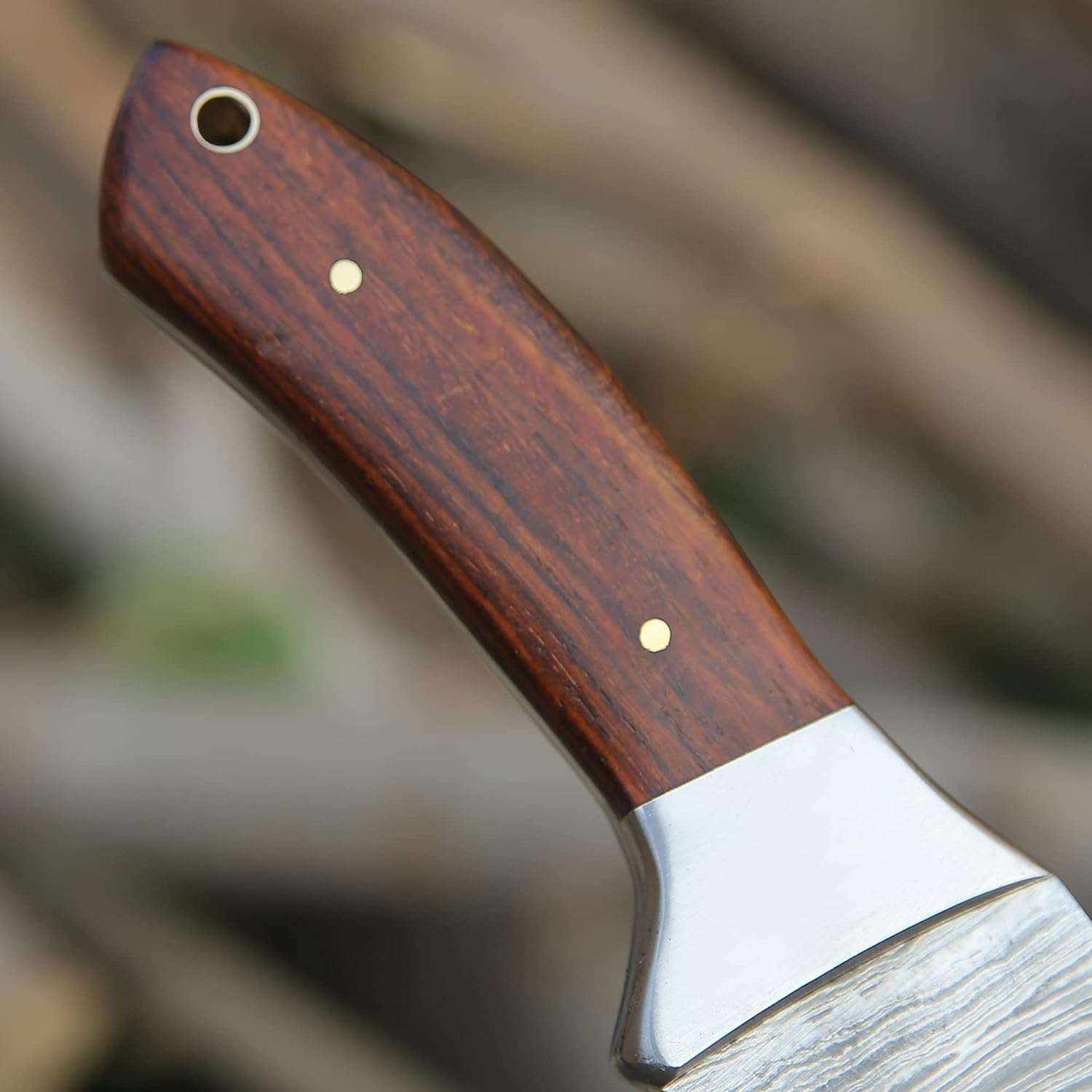 Gut Hook Knife for Hunting and Outdoor Enthusiasts – Razor-Sharp Blade with Ergonomic Handle